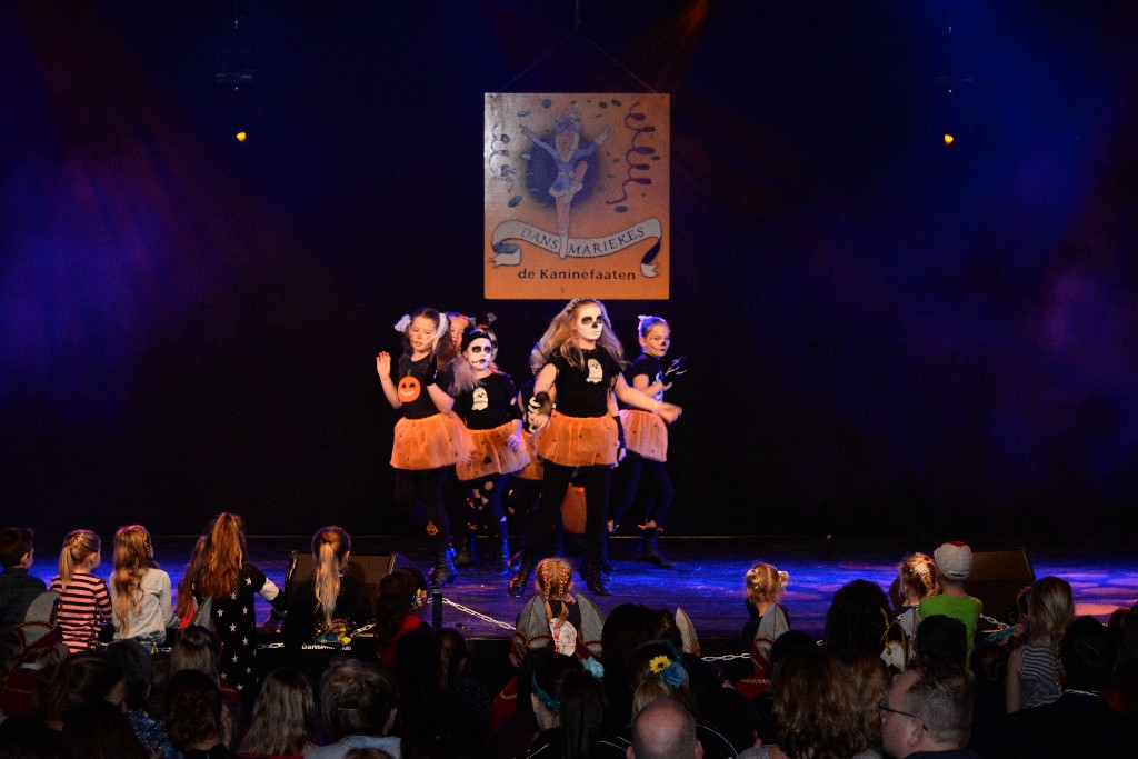 ../Images/Dansmariekefestival 2019 347.jpg